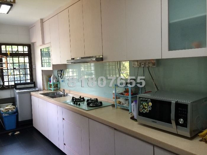 Blk 259A Compassvale Road (Sengkang), HDB 4 Rooms #456432